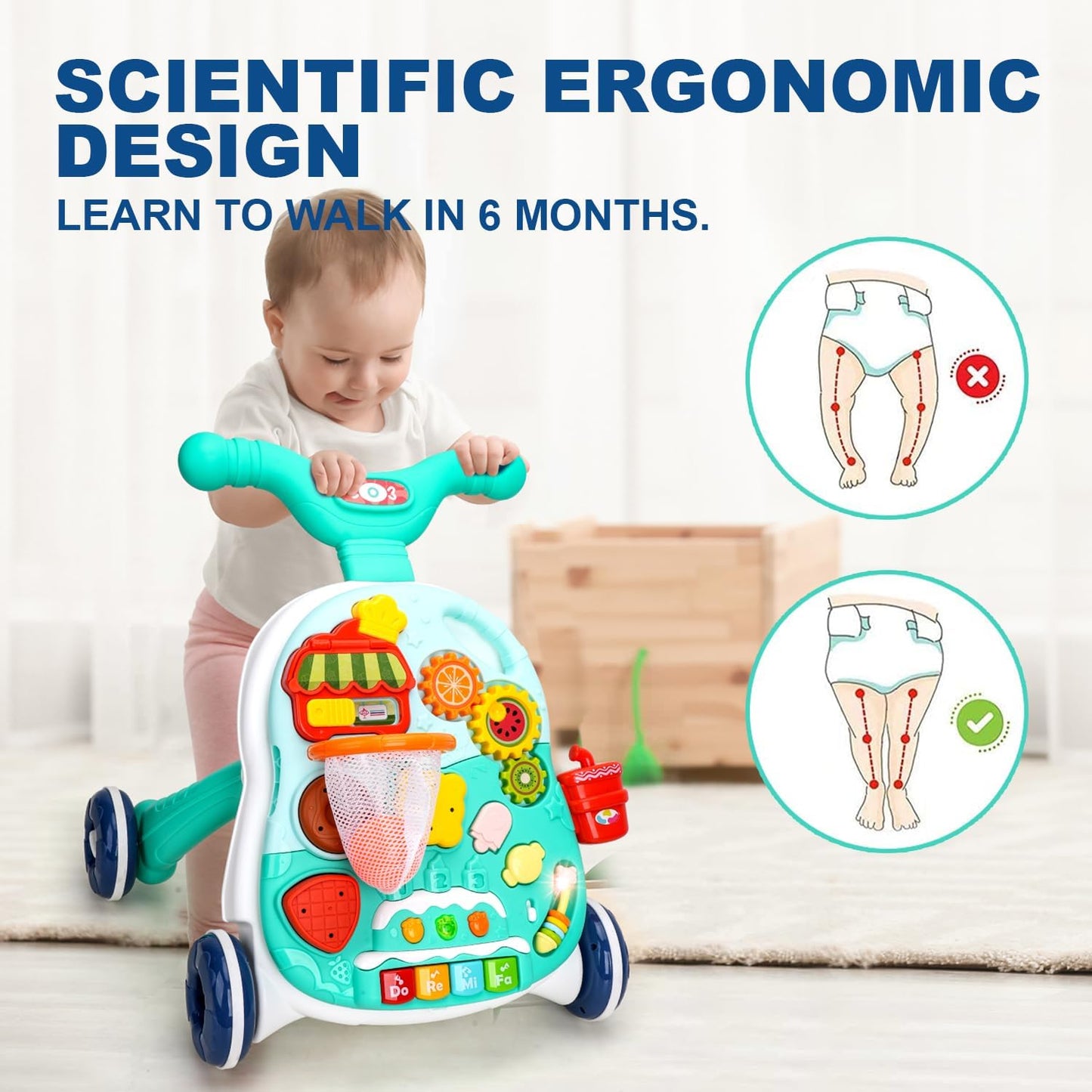 2 in 1 Push Walker and Activity Center
